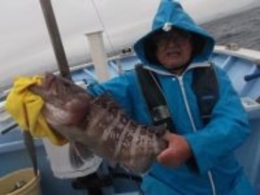 【釣果速報】千葉県千鯛丸で3.5kgのマハタが釣れる！あなたも高級魚ハンターになりませんか？