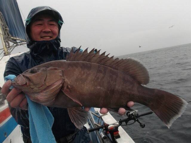 【釣果速報】千葉県千鯛丸で3.5kgのマハタが釣れる！あなたも高級魚ハンターになりませんか？