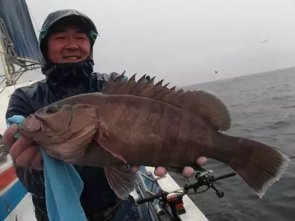 「【釣果速報】千葉県千鯛丸で3.5kgのマハタが釣れる！あなたも高級魚ハンターになりませんか？」の画像