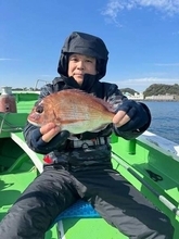 【釣果速報】神奈川県網屋丸でマダイ好調！その他混じりで全員お土産ゲット！好調なうちに海に繰り出そう！