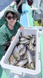 「【釣果速報】神奈川県瀬戸丸でイサキ好調！竿頭は98匹！人気魚種の数釣りを楽しもう！」の画像1