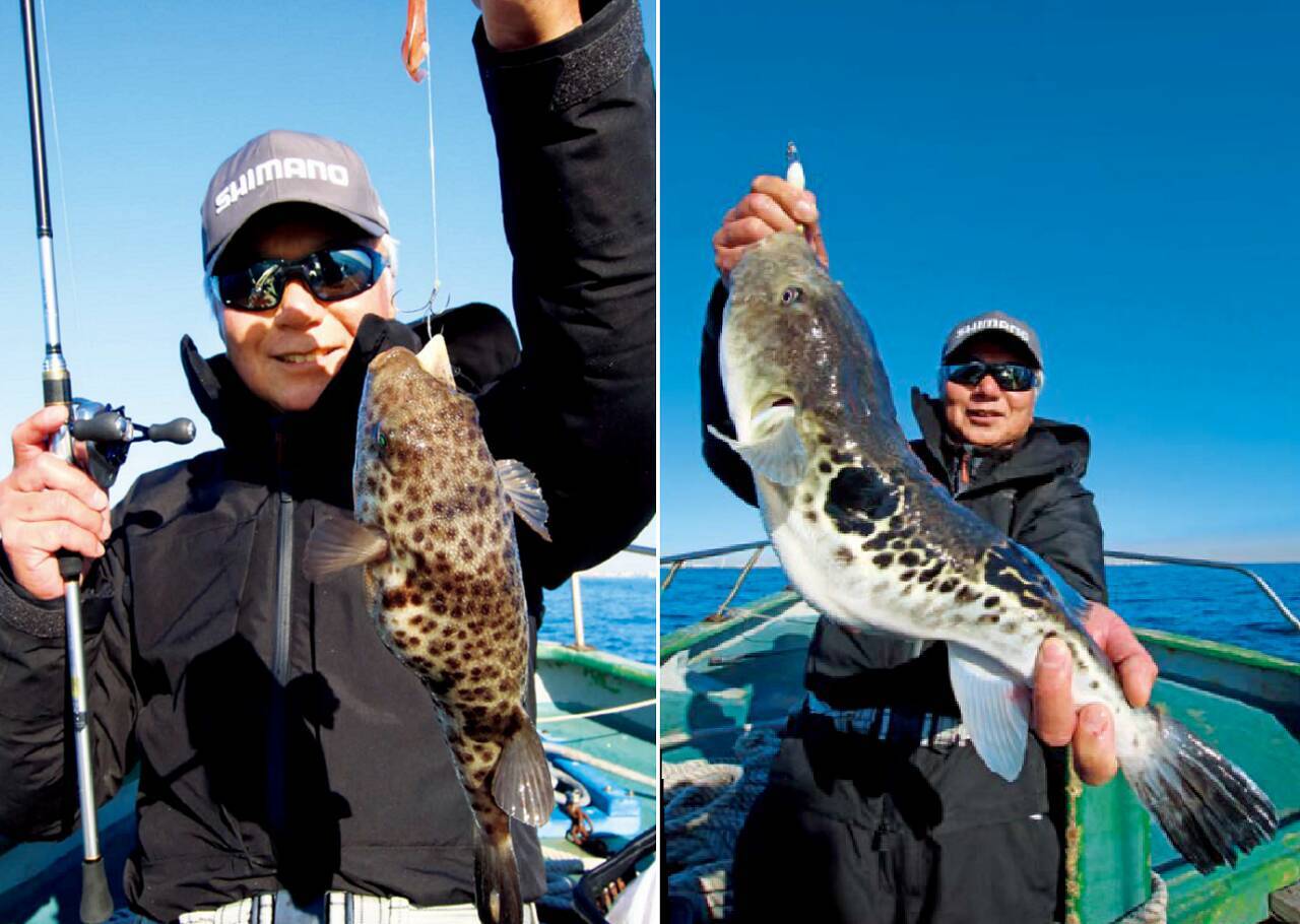 根掛かり知らずの快適釣行 良型ヒガンフグの大トラも 22年1月29日 エキサイトニュース