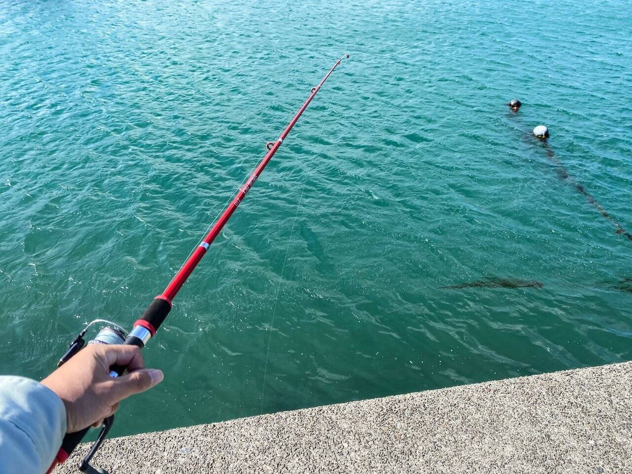 ショアジギングロッドの選び方 最新のおすすめロッド15本をピックアップ 19年4月10日 エキサイトニュース