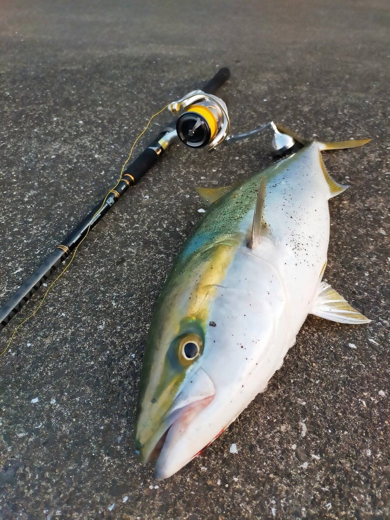 ショアジギングロッドの選び方 最新のおすすめロッド15本をピックアップ 19年4月10日 エキサイトニュース