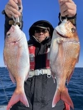 【釣果速報】マダイ・メバル・マハタなど人気魚種大集合！茨城県ことぶき丸で手に汗握るファイトを存分に楽しもう！