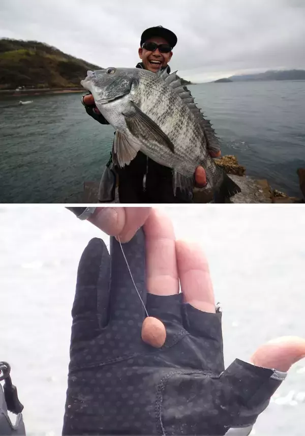 「Ｇ杯覇者が注目のチヌフィールド香川・詫間町で乗っ込み間近の良型を連続キャッチ！キーワードは「再現性」」の画像