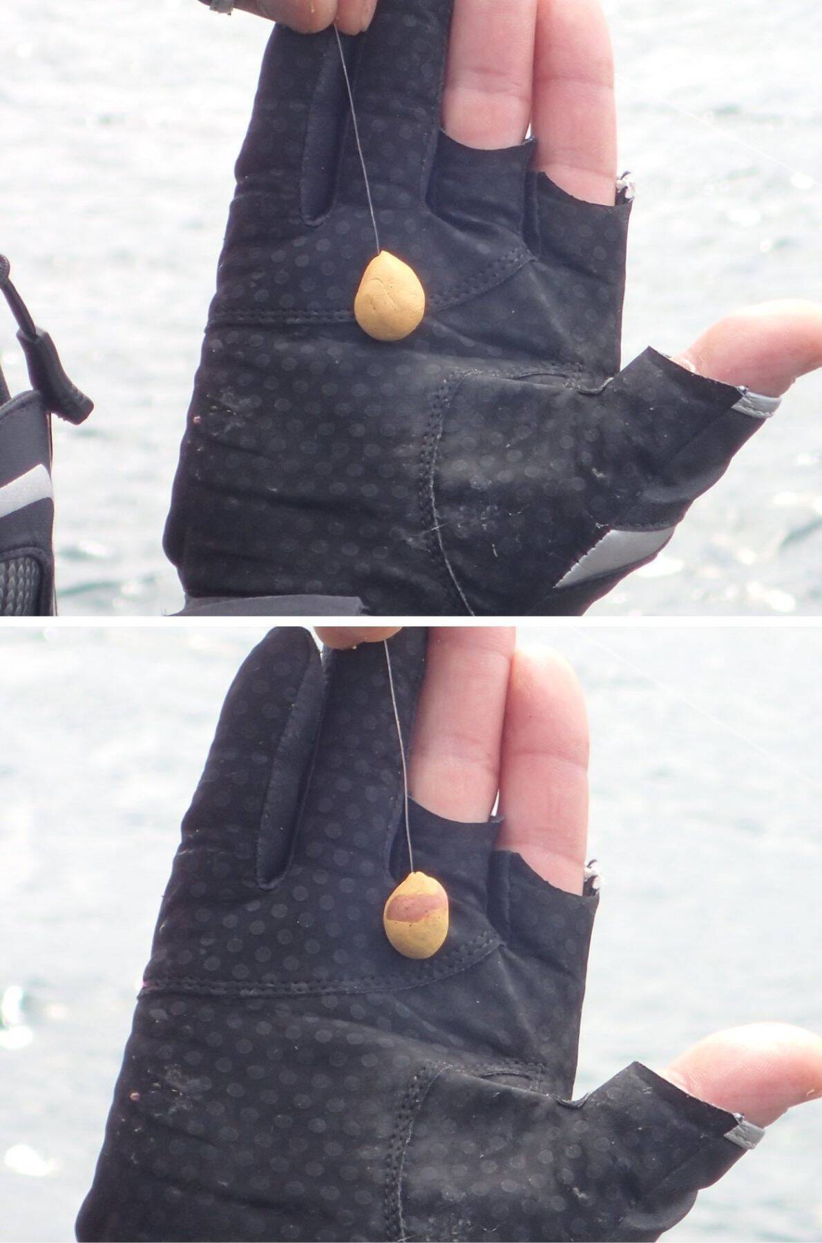 Ｇ杯覇者が注目のチヌフィールド香川・詫間町で乗っ込み間近の良型を連続キャッチ！キーワードは「再現性」