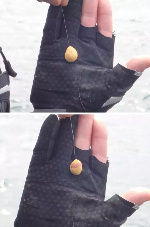 「Ｇ杯覇者が注目のチヌフィールド香川・詫間町で乗っ込み間近の良型を連続キャッチ！キーワードは「再現性」」の画像