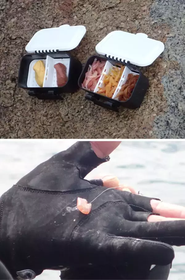 「Ｇ杯覇者が注目のチヌフィールド香川・詫間町で乗っ込み間近の良型を連続キャッチ！キーワードは「再現性」」の画像