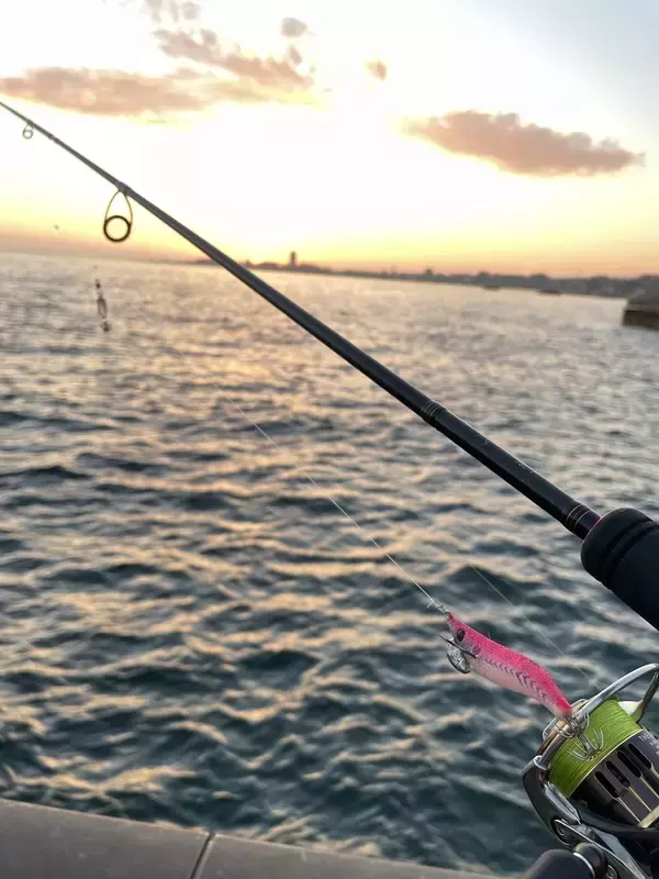 「ヤリイカ釣りの「2.3号」ってどうなの？NAORYがサイズアップした理由と使い分けのコツ」の画像