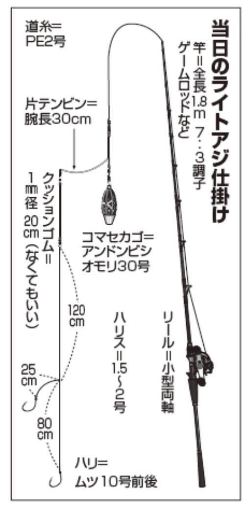 東京湾の夏美味イベントはショートアジで決まり