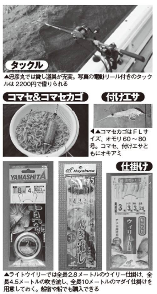 湾奥から湾口までプチ遠征　何が釣れるかお楽しみ　ライトウイリー五目