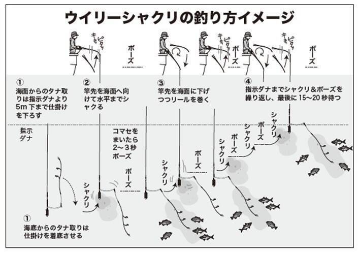 湾奥から湾口までプチ遠征　何が釣れるかお楽しみ　ライトウイリー五目