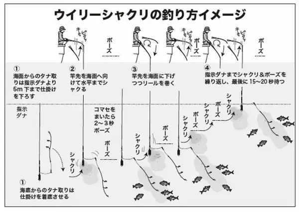 「湾奥から湾口までプチ遠征　何が釣れるかお楽しみ　ライトウイリー五目」の画像