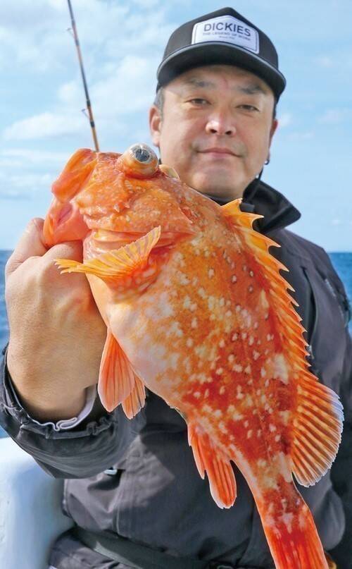 湾奥から湾口までプチ遠征　何が釣れるかお楽しみ　ライトウイリー五目