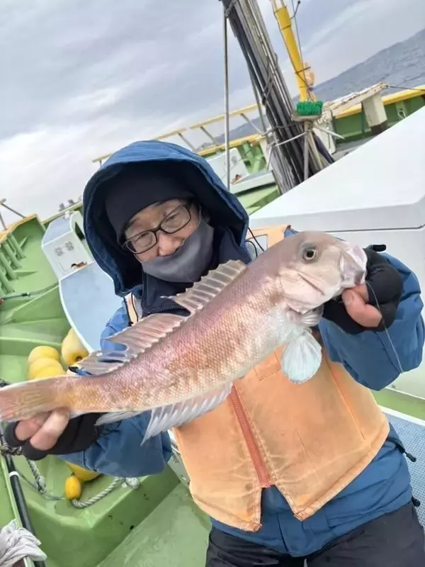【釣果速報】神奈川県ちがさき丸でハイパー高級魚シロアマダイがヒット！魚界トップクラスの味をご堪能あれ！