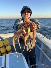 【釣果速報】茨城県幸栄丸で3.90kgの大物を筆頭にマダコが釣れまくり！冬の味覚を誰よりも早くゲットしよう！