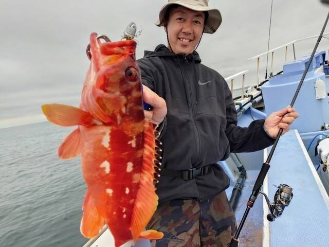 【釣果速報】オオモンハタにアカハタと多彩な魚種で船内がカラフルに！あなたも神奈川県丸伊丸で大興奮の釣行を味わおう！