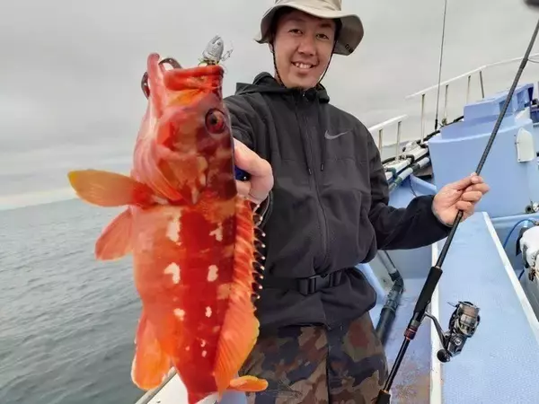 「【釣果速報】オオモンハタにアカハタと多彩な魚種で船内がカラフルに！あなたも神奈川県丸伊丸で大興奮の釣行を味わおう！」の画像