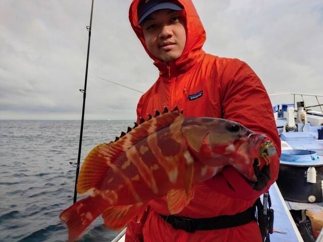 【釣果速報】オオモンハタにアカハタと多彩な魚種で船内がカラフルに！あなたも神奈川県丸伊丸で大興奮の釣行を味わおう！