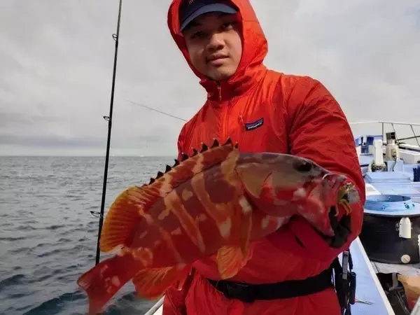 「【釣果速報】オオモンハタにアカハタと多彩な魚種で船内がカラフルに！あなたも神奈川県丸伊丸で大興奮の釣行を味わおう！」の画像