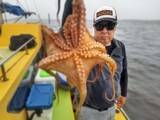 「【釣果速報】神奈川県鴨下丸kawanaでマダコ乗り乗り！解禁日から好調で竿頭15匹ゲット！サイズも良型で今が釣りドキ！」の画像2