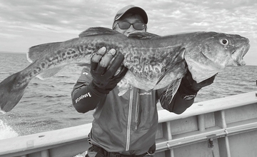 マッチザベイトの満足感　佐渡沖の深海マダラ