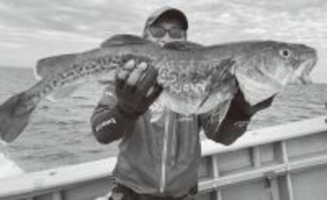 マッチザベイトの満足感　佐渡沖の深海マダラ