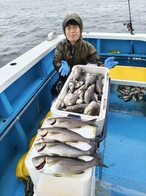 【釣果速報】神奈川県成銀丸でイサキ全員ゲット達成！良型アジも大漁で大満足の釣果に！乗船するなら今でしょ！
