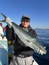 【釣果速報】ワラサにマダイ、キジハタ！神奈川県伝五郎丸に乗るとクーラーボックスが高級魚の宝石箱になるぞ！