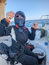 【釣果速報】千葉県林遊船でアジ&サワラGET！アジTOP72匹！好調な今シーズン、自己最高記録を狙ってみませんか？