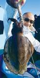「東京湾のテンヤスミイカ　不調はモンゴウイカがカバー」の画像1