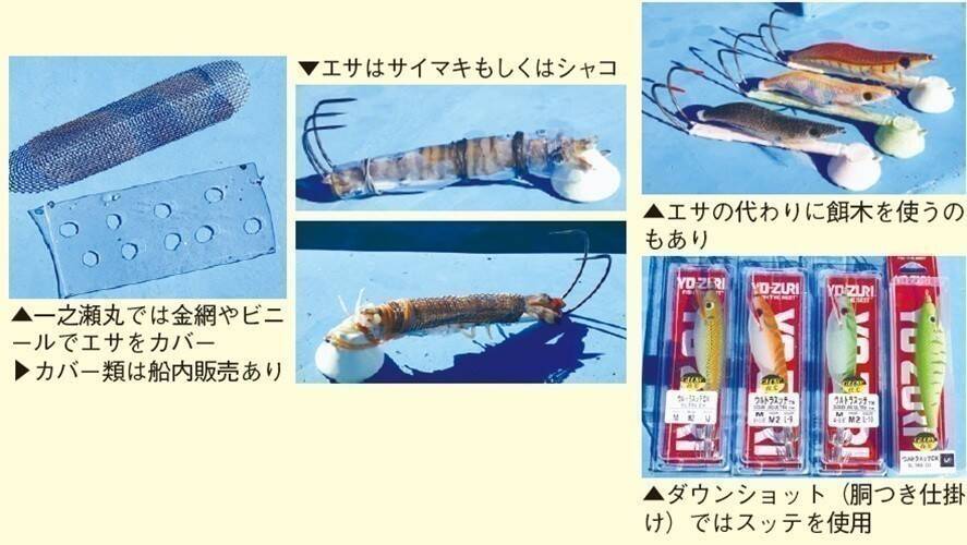 東京湾のテンヤスミイカ　不調はモンゴウイカがカバー