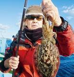 「東京湾のテンヤスミイカ　不調はモンゴウイカがカバー」の画像4