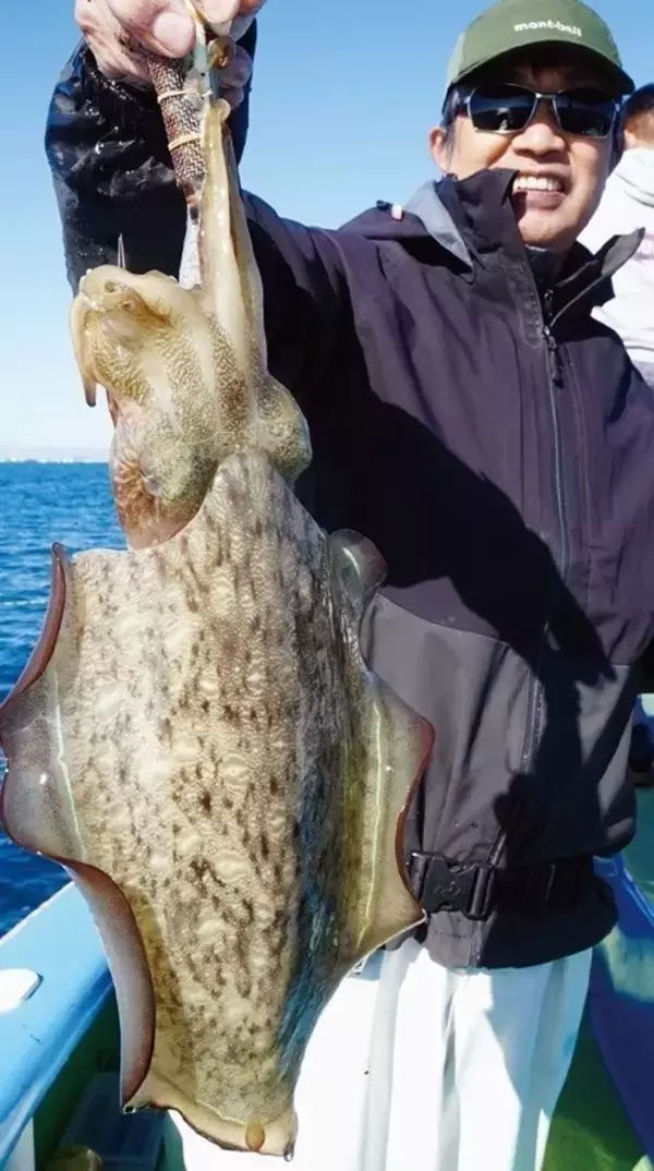 「東京湾のテンヤスミイカ　不調はモンゴウイカがカバー」の画像