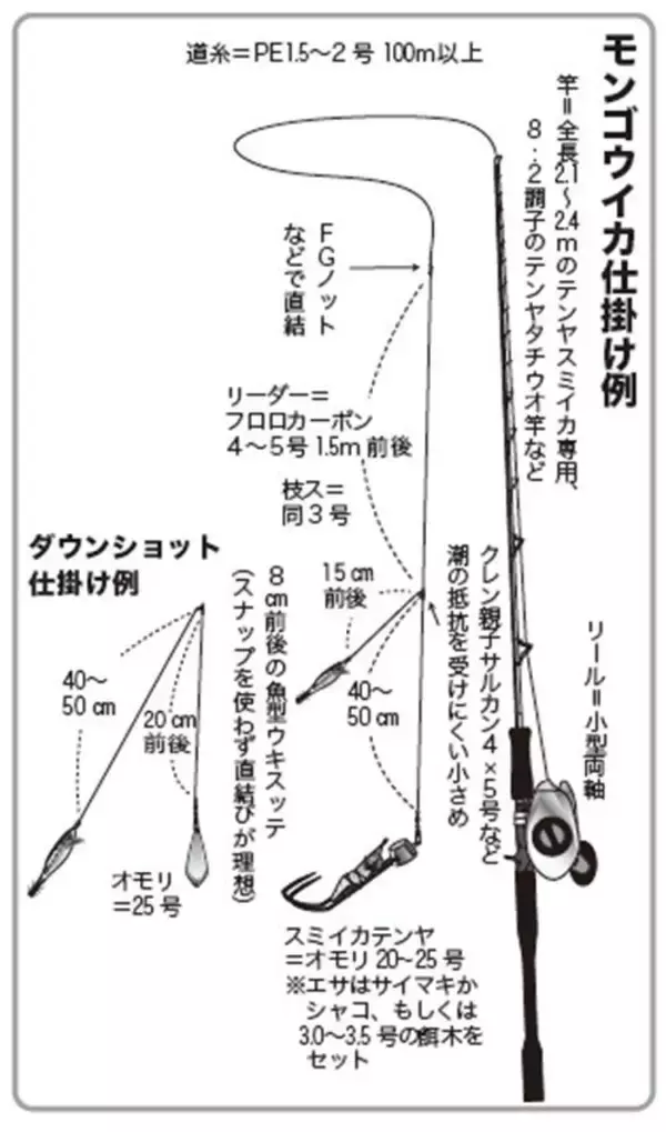 「東京湾のテンヤスミイカ　不調はモンゴウイカがカバー」の画像