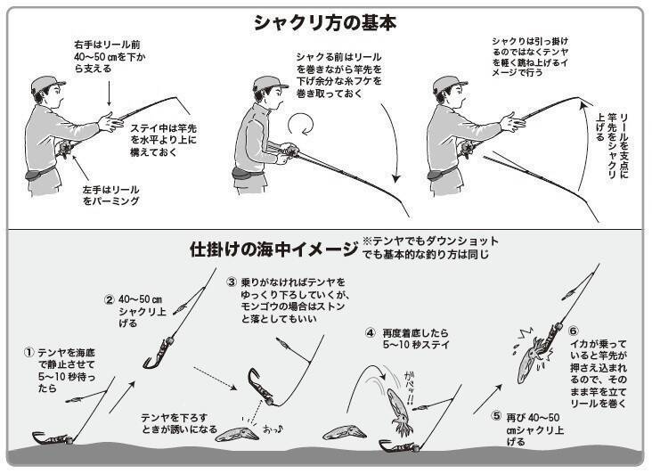 東京湾のテンヤスミイカ　不調はモンゴウイカがカバー