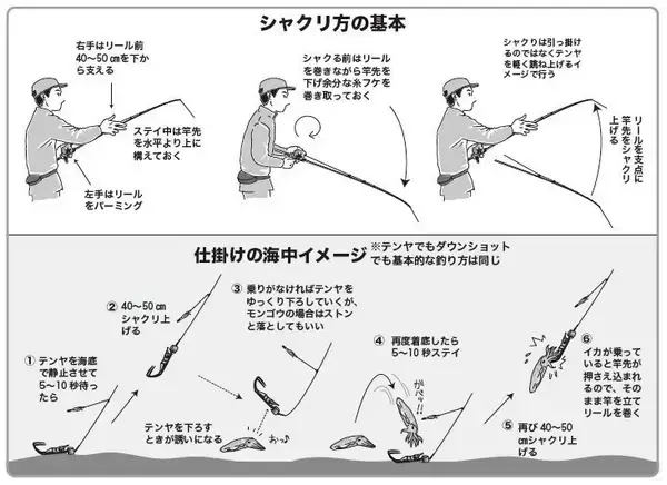 「東京湾のテンヤスミイカ　不調はモンゴウイカがカバー」の画像