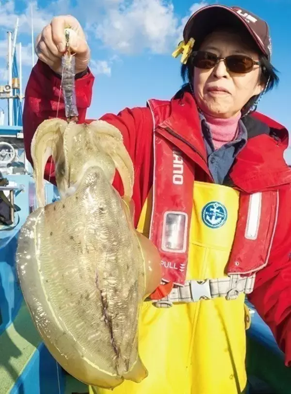 「東京湾のテンヤスミイカ　不調はモンゴウイカがカバー」の画像