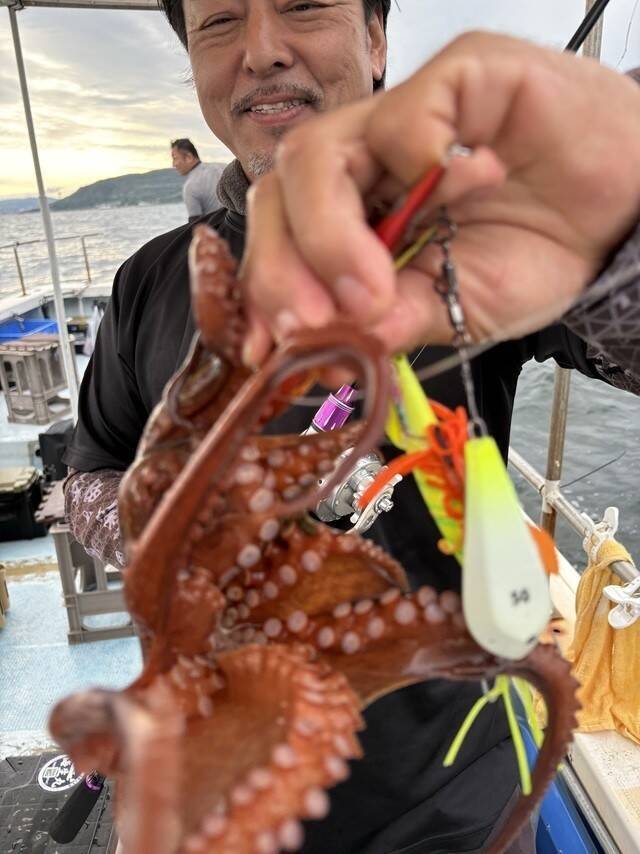 【釣果速報】良型マダコ連続確保！短時間の出船でもお土産バッチリ！充実の釣行は兵庫県こうじん丸で！
