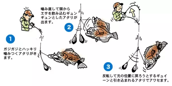 「アジを使って泳がせ釣りをしてみたい！おすすめの仕掛け・タックルをピックアップ」の画像