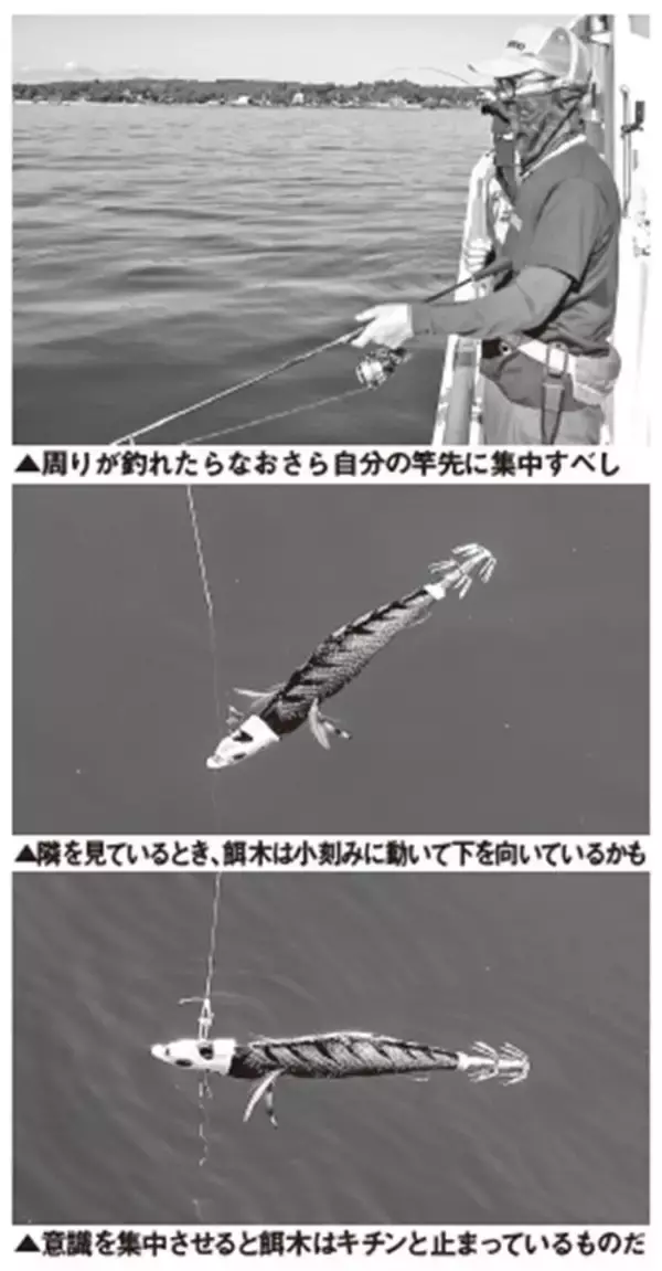 「能登から全国へ！アオリイカ全開ティップラン」の画像