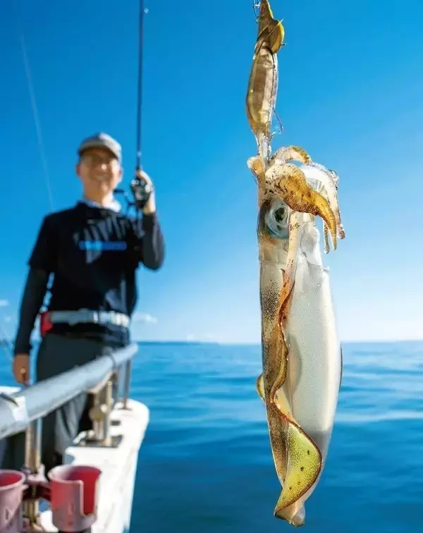 「能登から全国へ！アオリイカ全開ティップラン」の画像