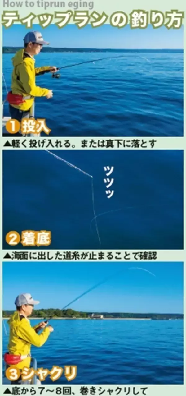 「能登から全国へ！アオリイカ全開ティップラン」の画像