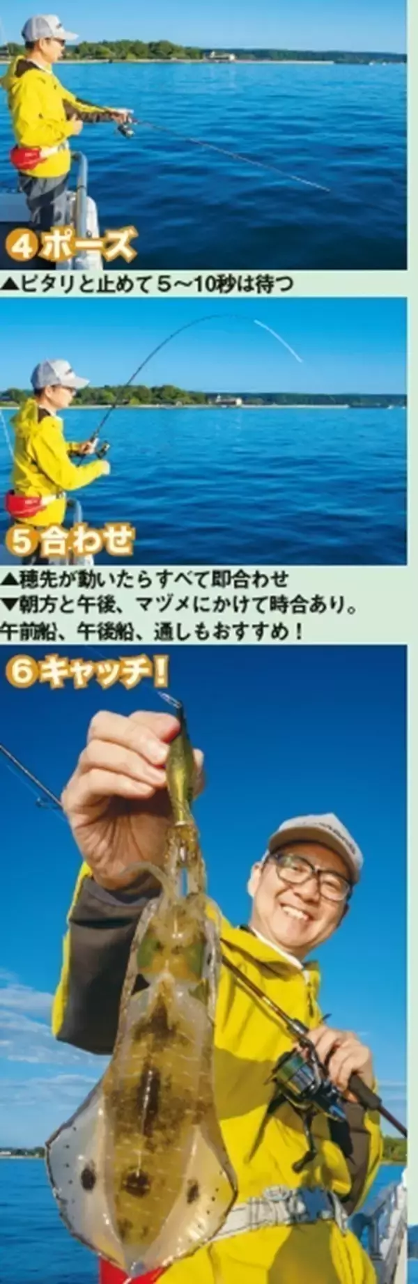 「能登から全国へ！アオリイカ全開ティップラン」の画像