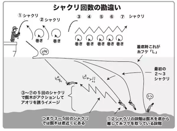 「能登から全国へ！アオリイカ全開ティップラン」の画像