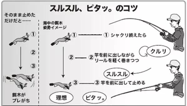「能登から全国へ！アオリイカ全開ティップラン」の画像