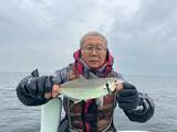 「【釣果速報】神奈川県政信丸でアジ好調！竿頭は72匹！質も量も大満足の釣行を楽しもう！」の画像1