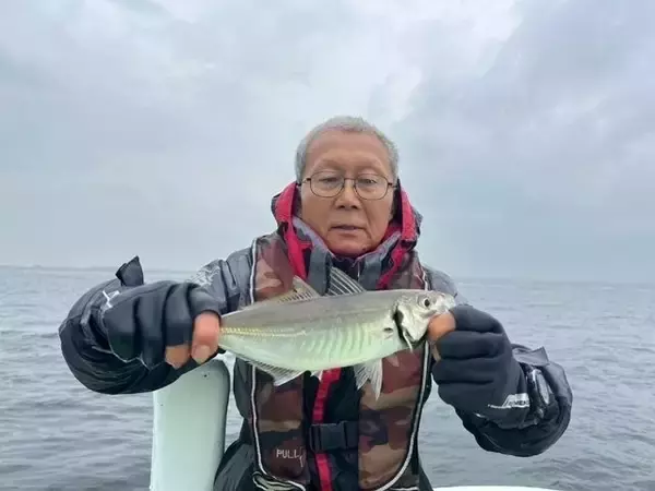 【釣果速報】神奈川県政信丸でアジ好調！竿頭は72匹！質も量も大満足の釣行を楽しもう！