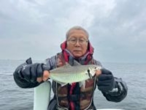 【釣果速報】神奈川県政信丸でアジ好調！竿頭は72匹！質も量も大満足の釣行を楽しもう！